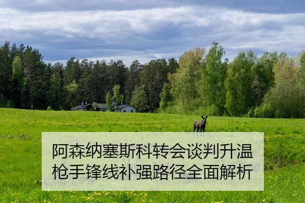阿森纳塞斯科转会谈判升温 枪手锋线补强路径全面解析
